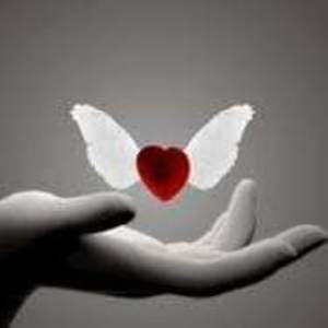 Meet your Posher, Em dee